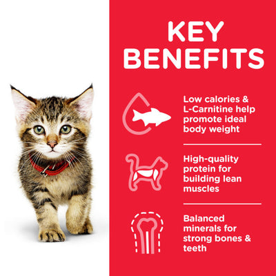 Hills Science Plan Kitten Food with Chicken