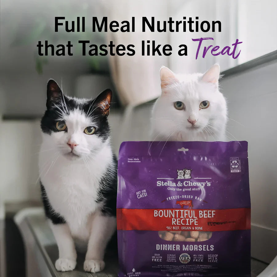 Stella & Chewys Cat Freeze Dried Dinner Morsels - Bountiful Beef Recipe