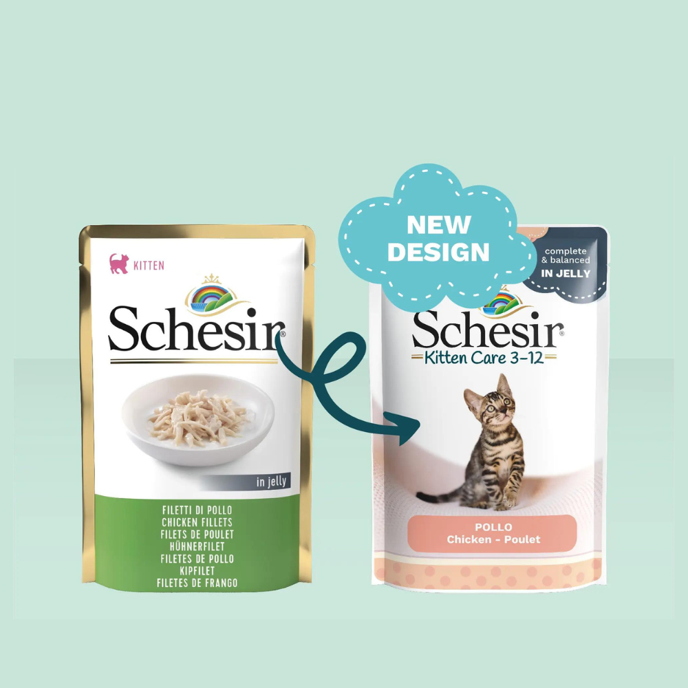 Schesir Kitten Care 3-12 in Jelly Chicken Pouch 85g