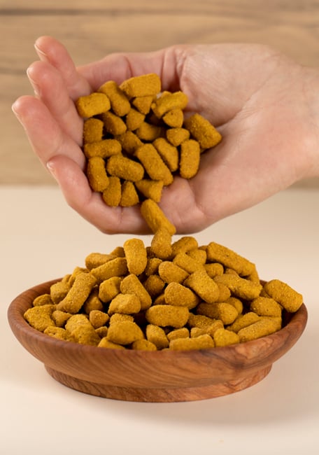 Psittacus High Palatability Formula Omega 3 Kg