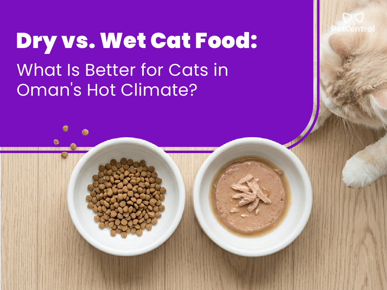 Dry vs. Wet Cat Food: What Is Better for Cats in Oman's Hot Climate?