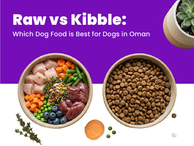 Raw vs Kibble: Which Dog Food is Best for Dogs in Oman