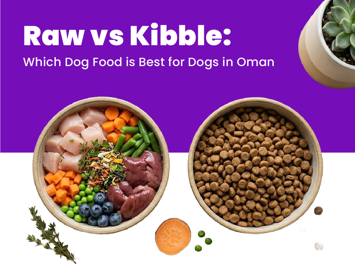Raw vs Kibble: Which Dog Food is Best for Dogs in Oman