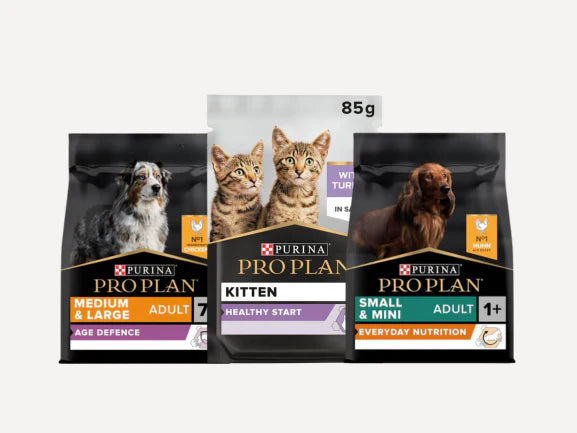 Purina Pro Plan - Kibble