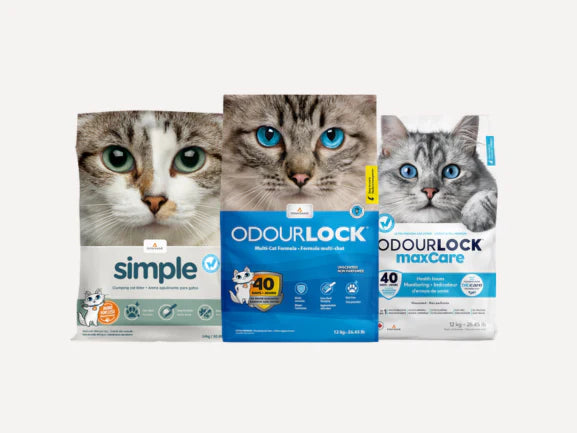 Intersand - Unscented Litter