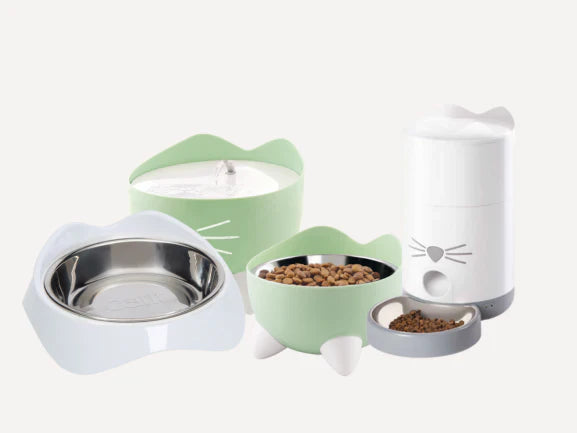 Cat Bowl & Feeders