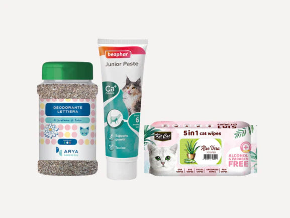 Cat Health & Hygiene