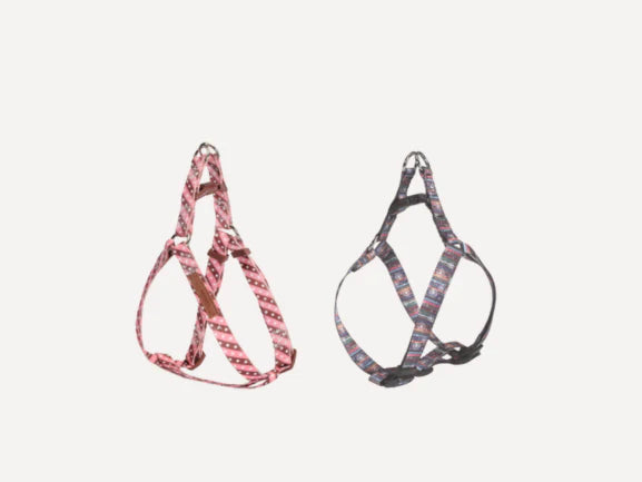 Cat Tethering & Leashes