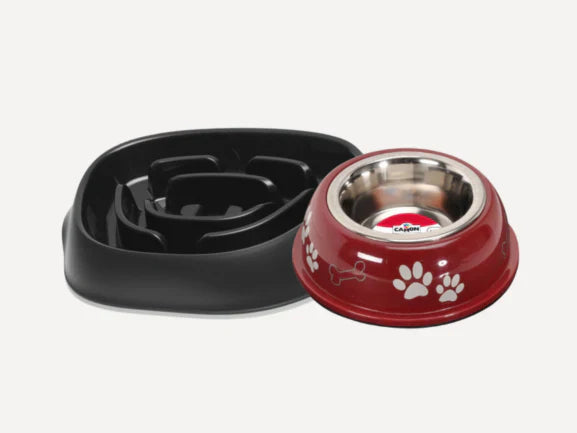 Dog Bowl & Feeders