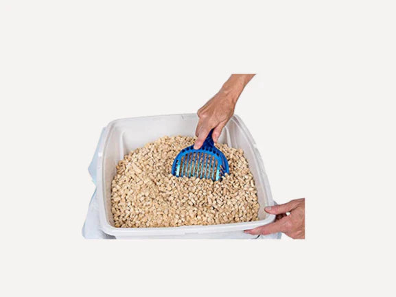 Small Pet Litter