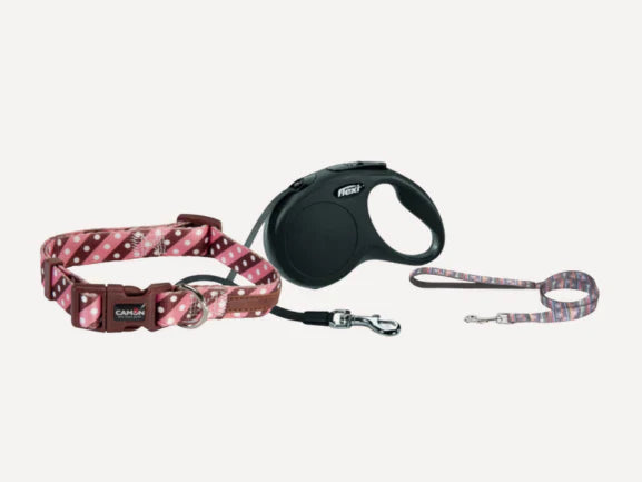 Dog Collar & Leashes