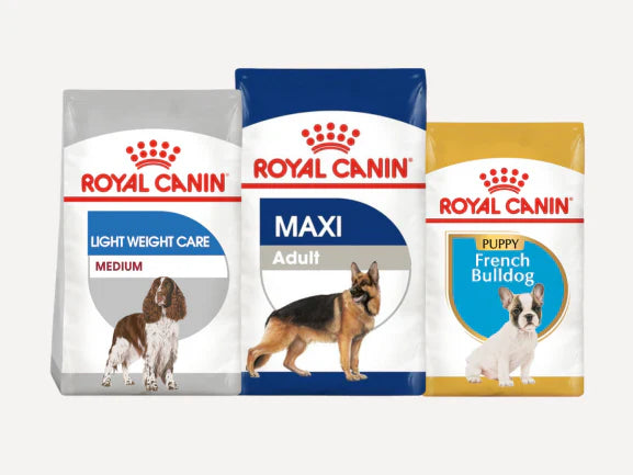 Royal Canin - Dog Dry Food