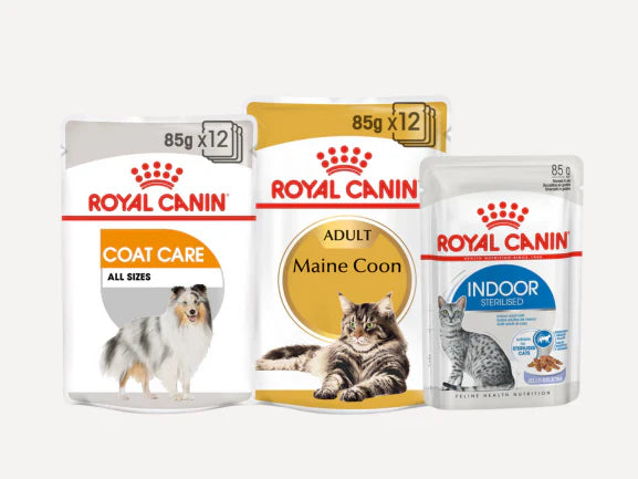 Royal Canin - Chunks in Jelly