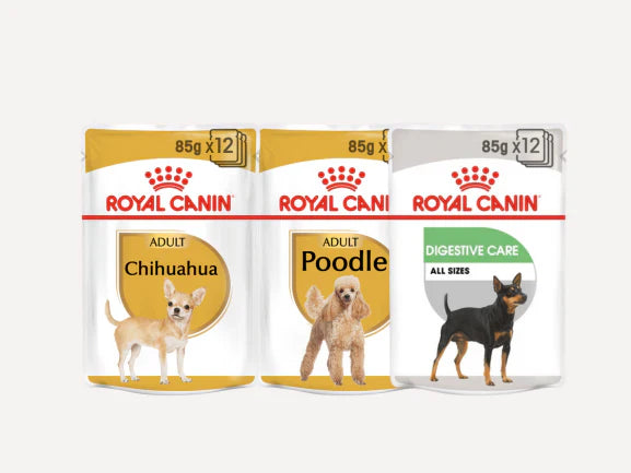 Royal Canin - Dog Wet Food
