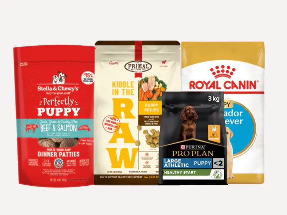Puppy Food