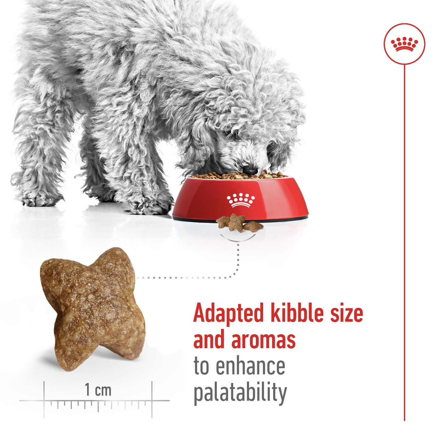 Royal Canin Size Health Nutrition Mini Adult