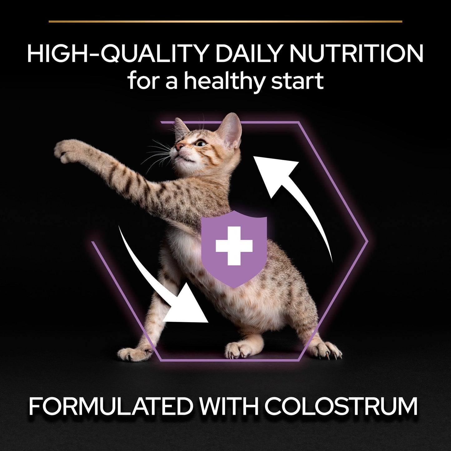 Purina Pro Plan Kitten Healthy Start Dry Cat Food with Chicken
