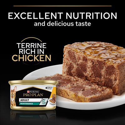 Purina Pro Plan Adult Maintenance, Wet Cat Food, Terrine rich in Chicken 85g