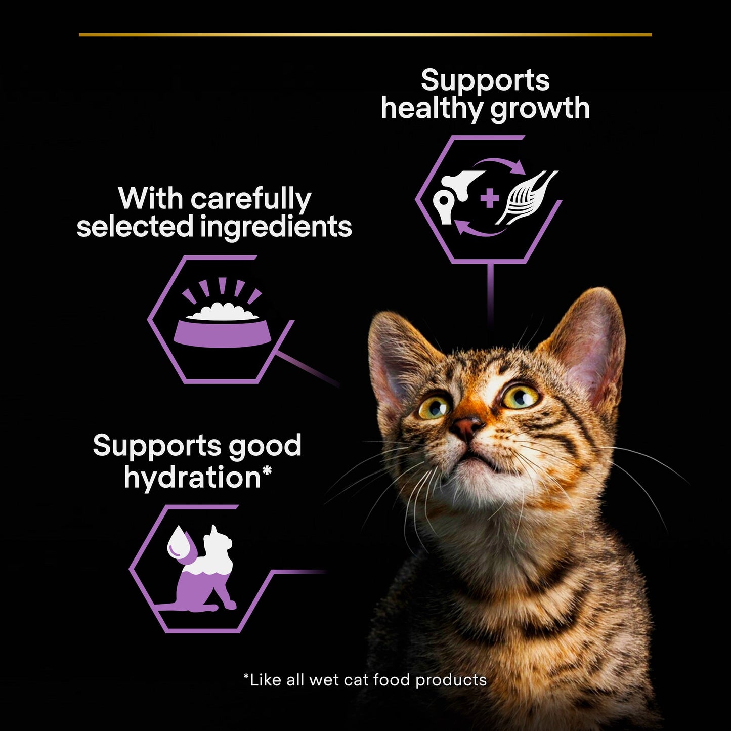 Purina Pro Plan Kitten , Wet Cat Food, Mousse rich in Chicken 85g
