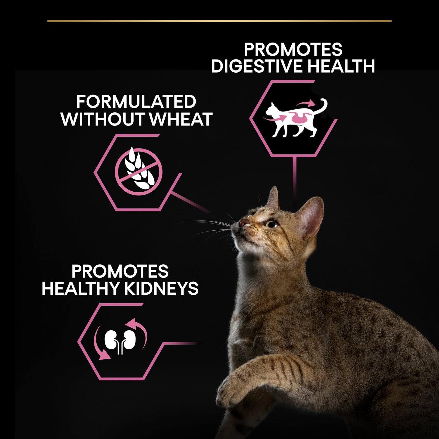 Purina Pro Plan Adult Delicate Digestion, Dry Cat Food with Turkey - 1.5 kg