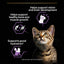 Purina Pro Plan Kitten, Wet Cat Food, Turkey in Gravy