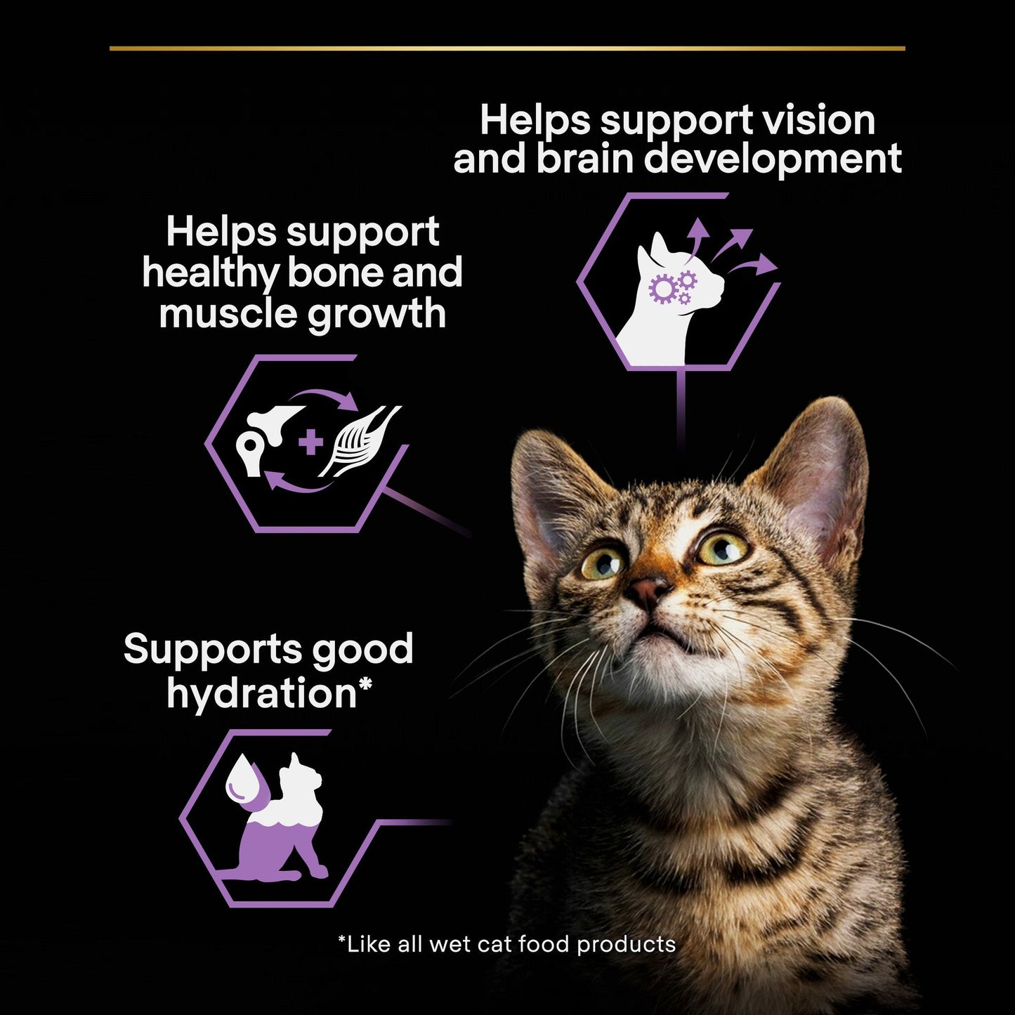 Purina Pro Plan Kitten, Wet Cat Food, Turkey in Gravy