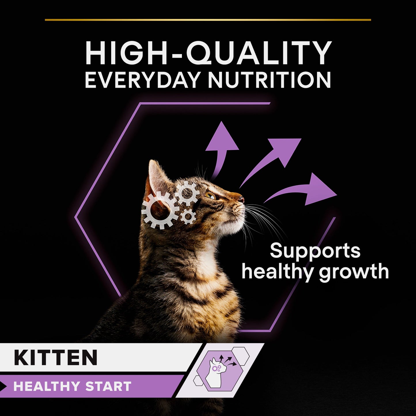 Purina Pro Plan Kitten , Wet Cat Food, Mousse rich in Chicken 85g
