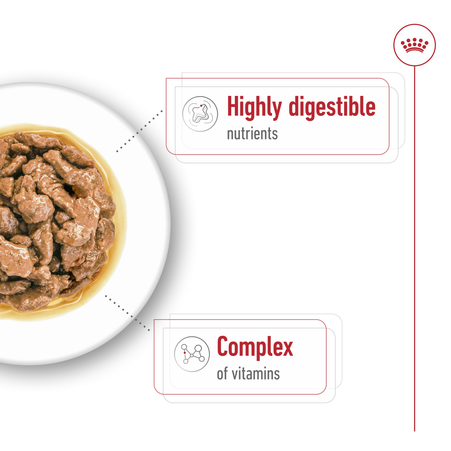 Royal Canin Size Health Nutrition Mini Adult (WET FOOD - Pouches)