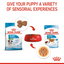 Royal Canin Size Health Nutrition Mini Puppy (WET FOOD - Pouches)