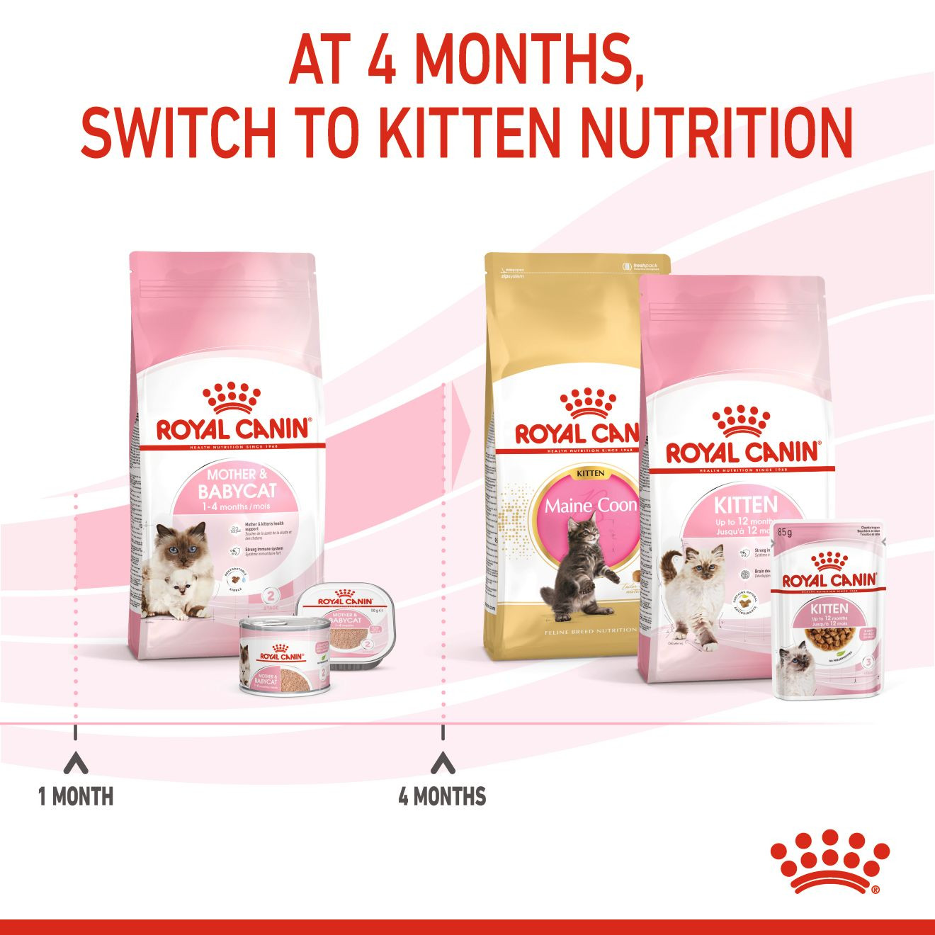 Royal Canin Feline Health Nutrition Mother and Babycat