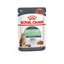 Royal Canin  Feline Care Nutrition Digest Sensitive Gravy (WET FOOD - Pouches)
