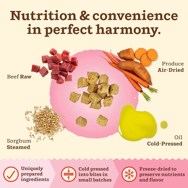 Primal Kibble in the Raw Cat Food – Hypoallergenic Beef Recipe