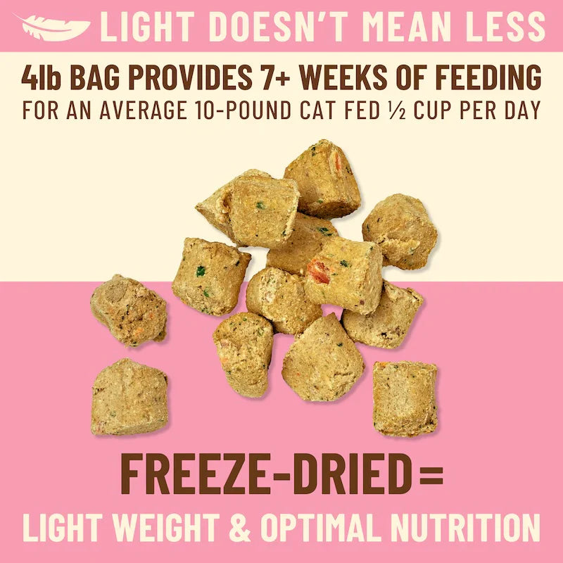 Primal Kibble in the Raw Cat Food – Hypoallergenic Beef Recipe