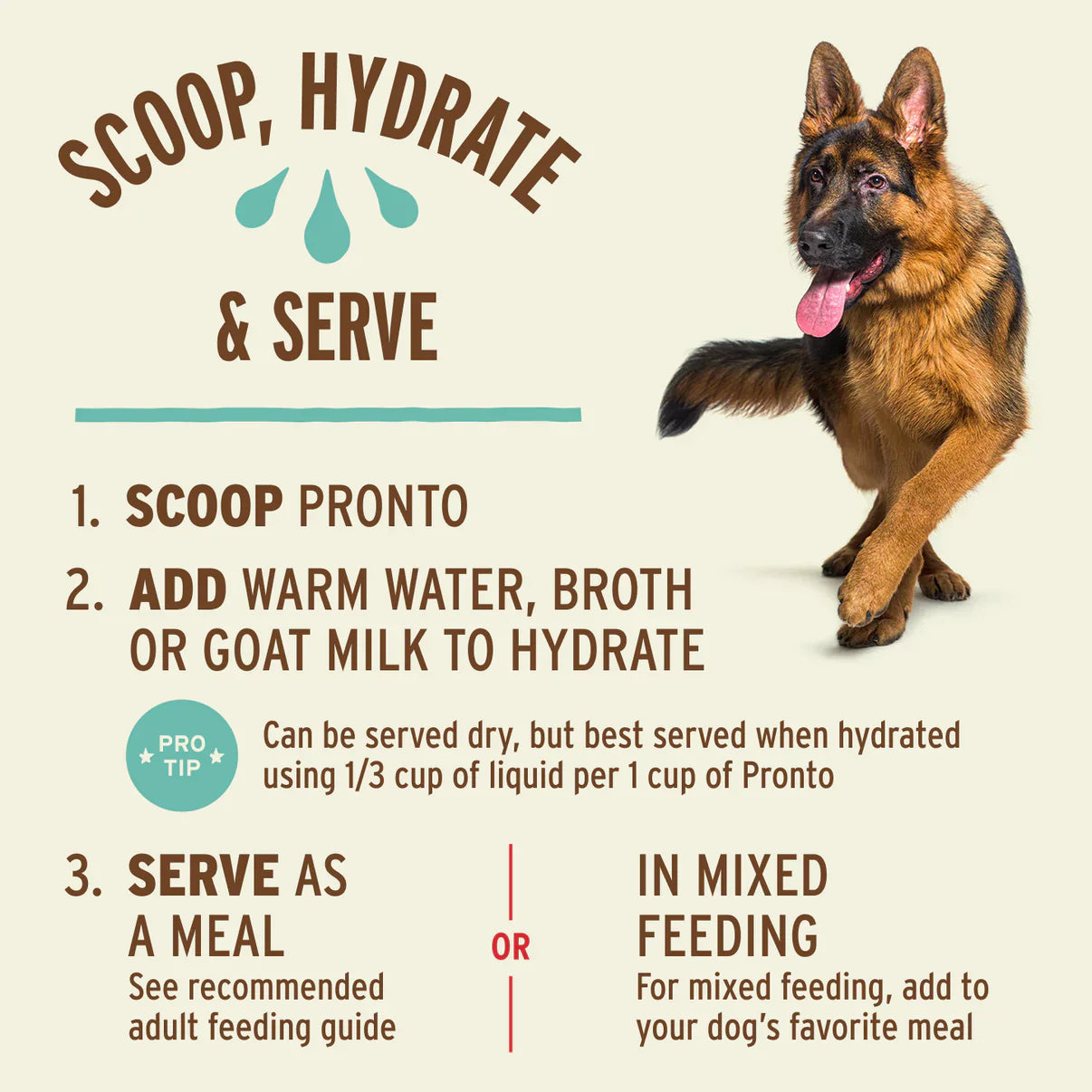 Primal Canine Beef Pronto