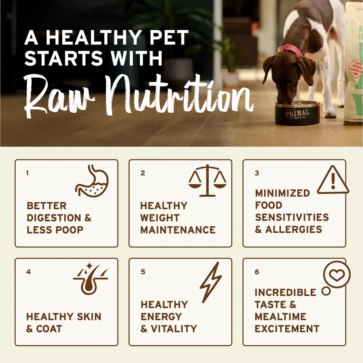 Primal Canine Lamb Freeze-Dried Formula