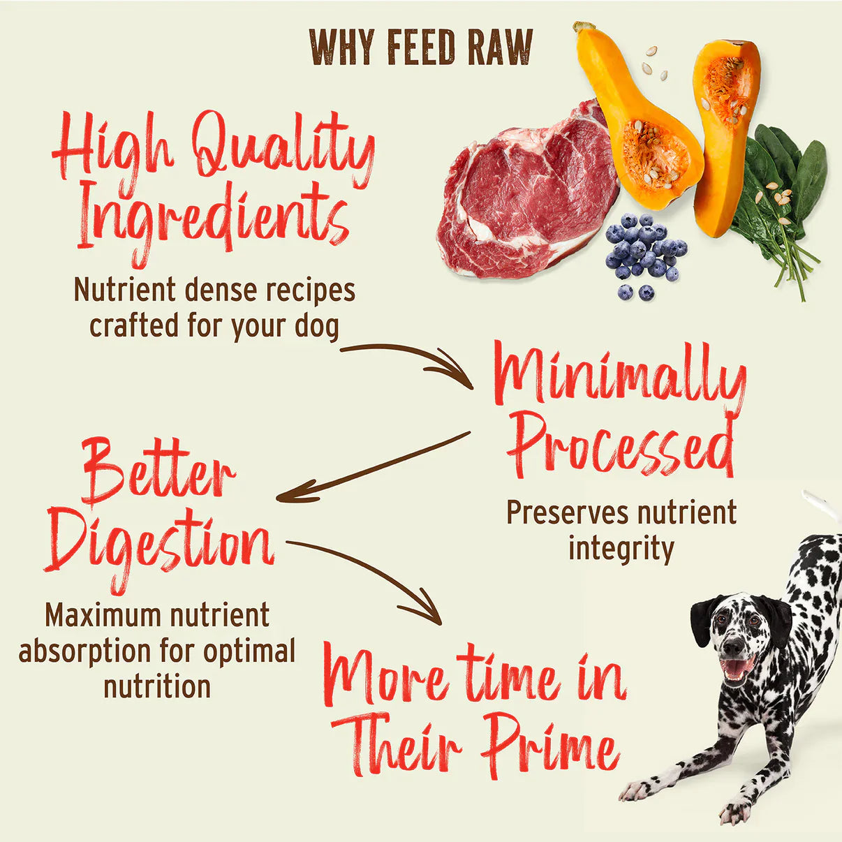 Primal Canine Lamb Freeze-Dried Formula