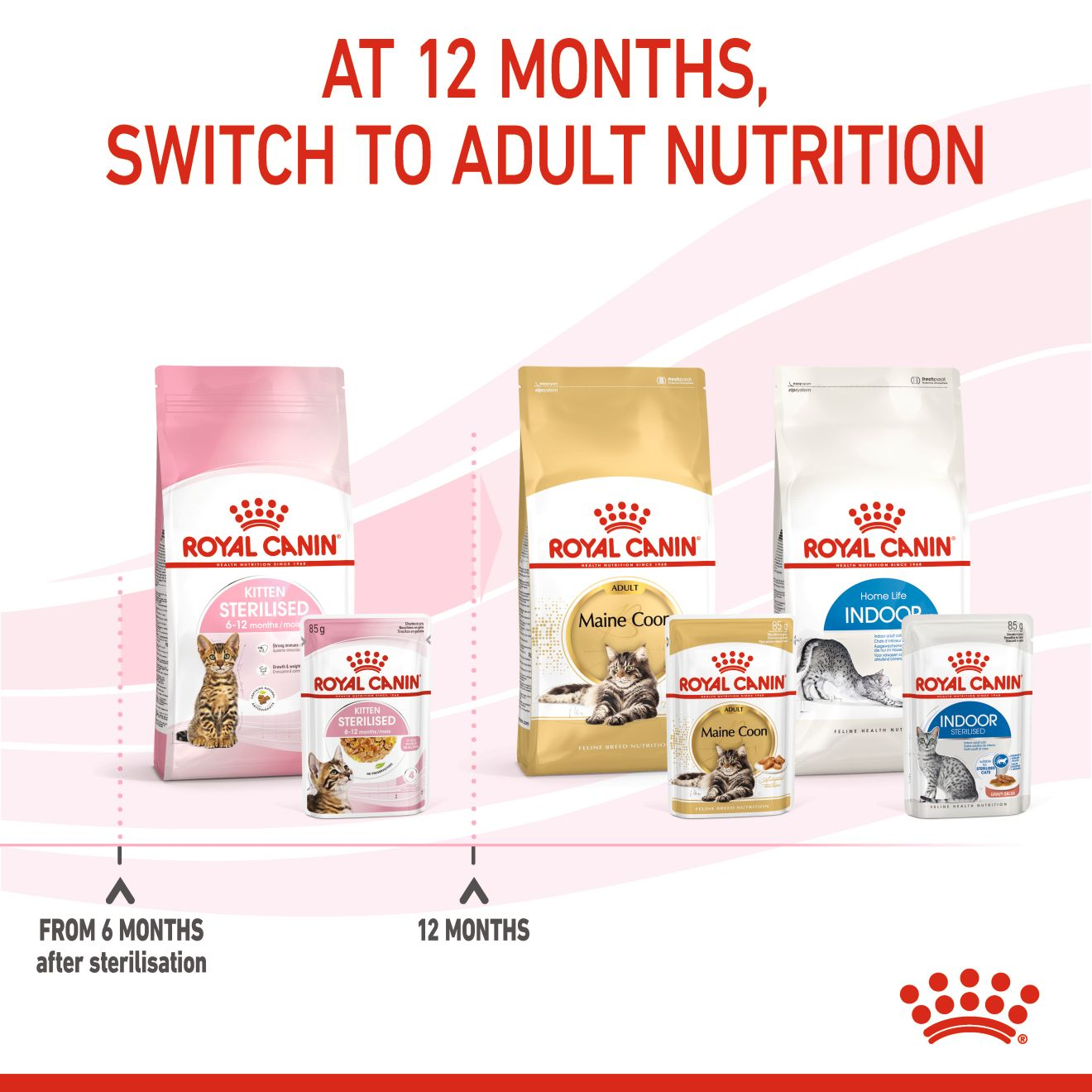 Royal Canin  Feline Health Nutrition Kitten Sterilised Gravy (WET FOOD - Pouches)