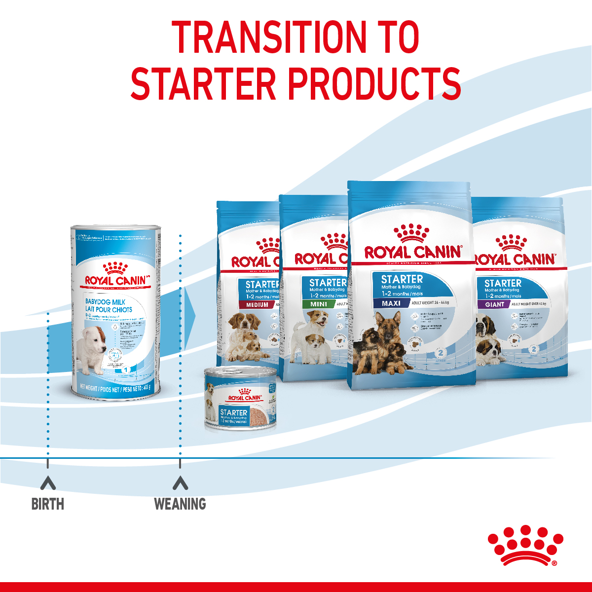 Royal Canin Size Health Nutrition Babydog Milk 400 g
