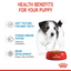 Royal Canin Size Health Nutrition Mini Puppy (WET FOOD - Pouches)