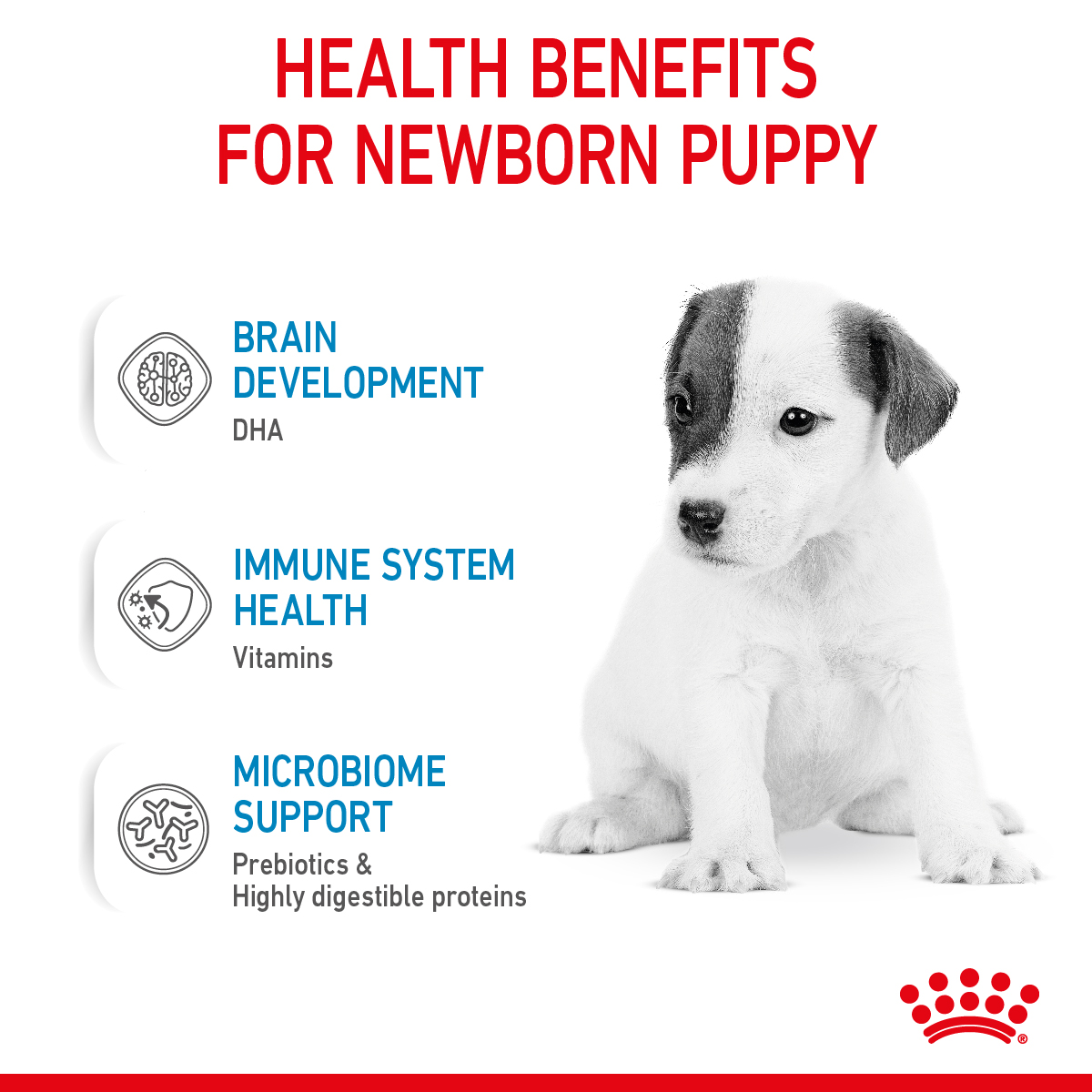 Royal Canin Size Health Nutrition Babydog Milk 400 g