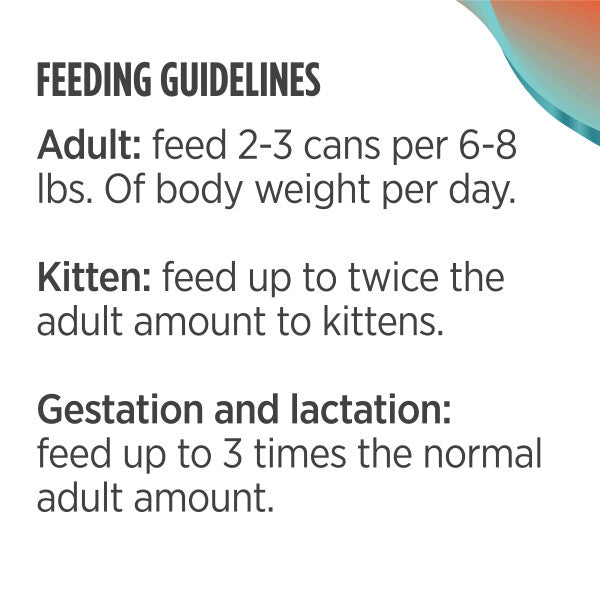 Nulo Cat Minced Salmon & Turkey 85g Can