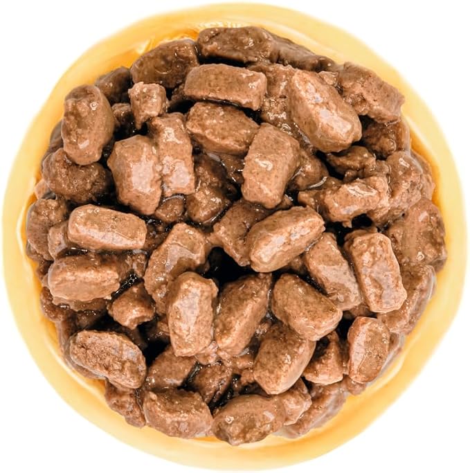 Size Health Nutrition Mini Ageing Gravy (Wet Food - Pouches)