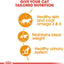 Royal Canin Feline Care Nutrition Hair & Skin Jelly (INTENSE BEAUTY) (WET FOOD - Pouches)