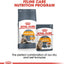 Royal Canin  Feline Care Nutrition Hair & Skin Gravy (INTENSE BEAUTY) (WET FOOD - Pouches)