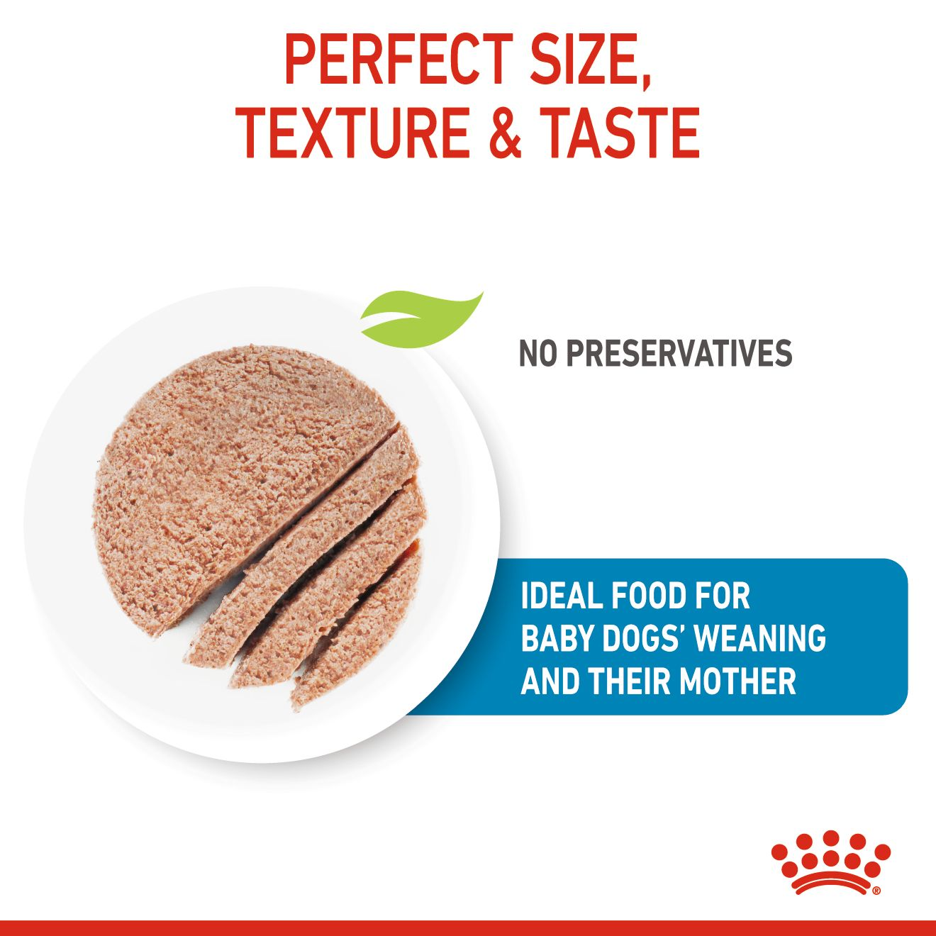 Royal Canin Canine Health Nutrition Starter Mousse Mother & Baby dog (WET FOOD - Cans)