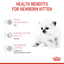 Royal Canin Feline Health Nutrition Babycat Milk 300 g
