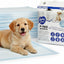 Duvo+ Premium Pet Training Pads XL 60×60 cm