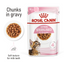 Royal Canin  Feline Health Nutrition Kitten Sterilised Gravy (WET FOOD - Pouches)
