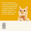 Applaws Chicken with Lamb in Jelly Adult Wet Cat Food 70g Pouch