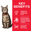 Hills Science Plan Adult Cat Food with Tuna